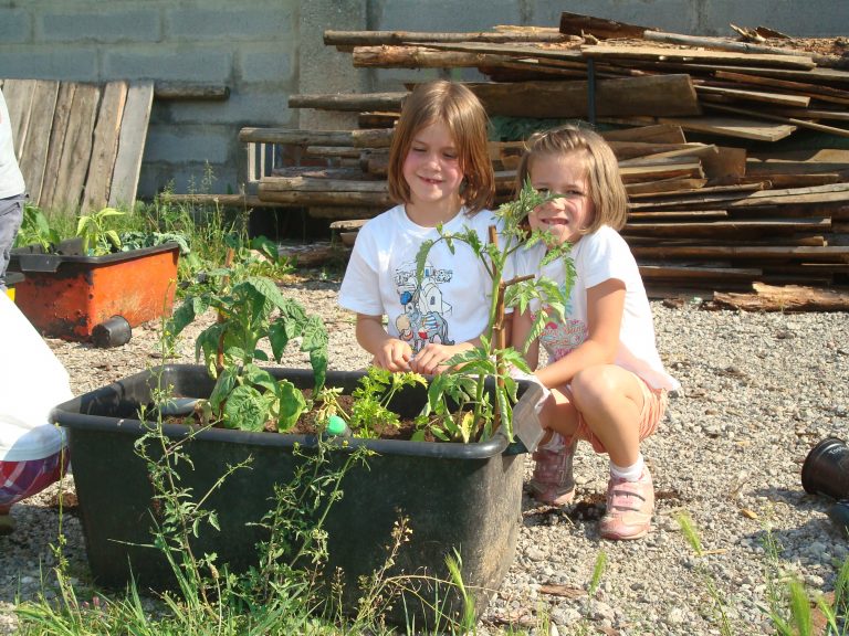 Die Biber und die Blumen 2011