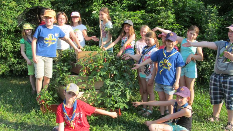 Die Kartoffelpyramide der WiWö