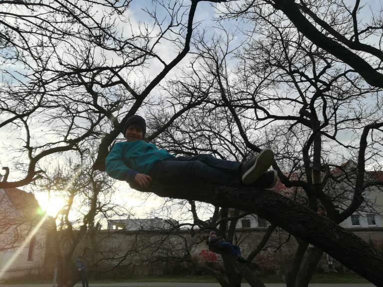 WiWö: Und die Sonne scheint wieder!