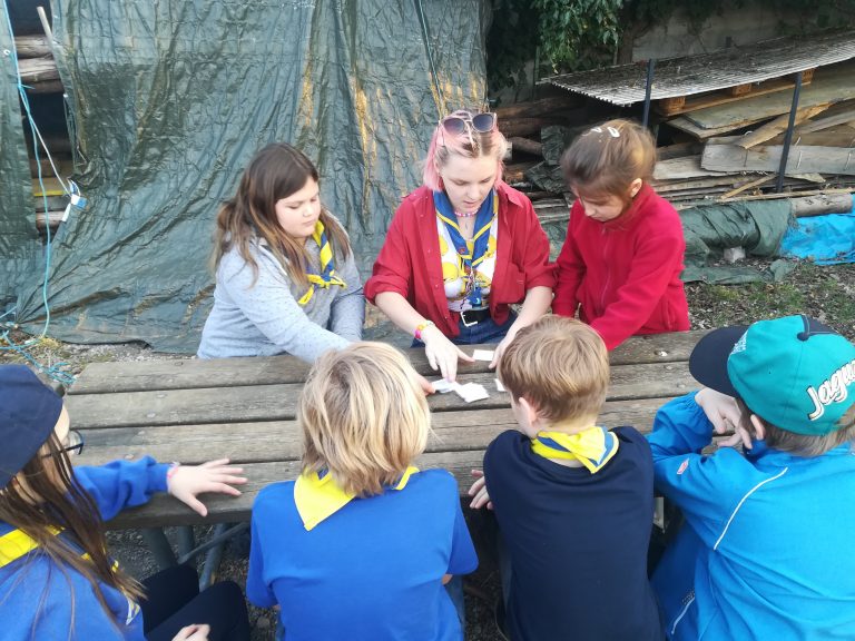 WiWö – Säubert das Waldenland!