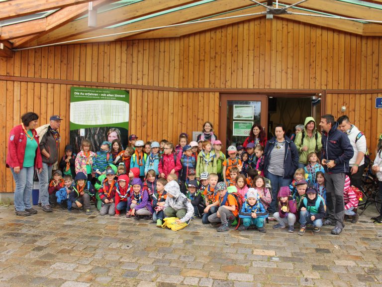 Auf den Spuren der Biber in den Donauauen 2017
