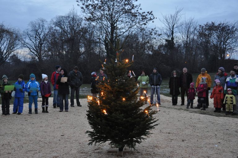 Waldweihnacht 2012