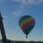 WhatsApp Image 2024-08-16 at 11.09.36 (1)