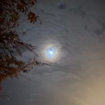 WhatsApp Image 2024-10-22 at 11.31.35