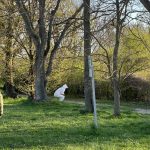 25-04-08 18-22-03 2217