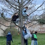 25-04-01 19-22-09 2177