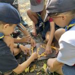 25-08-12 10-57-33 5535