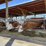 25-08-13 10-30-41 5553