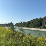 86604f7e-cdf9-41c6-b58c-75a130797bd1