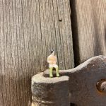 WhatsApp Image 2025-08-25 at 13.16.08 (1)