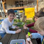 signal-2025-09-16-16-41-59-938-1