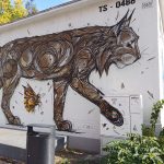 IMG_20251011_101343_009