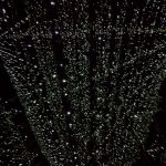 PXL_20251011_120748236