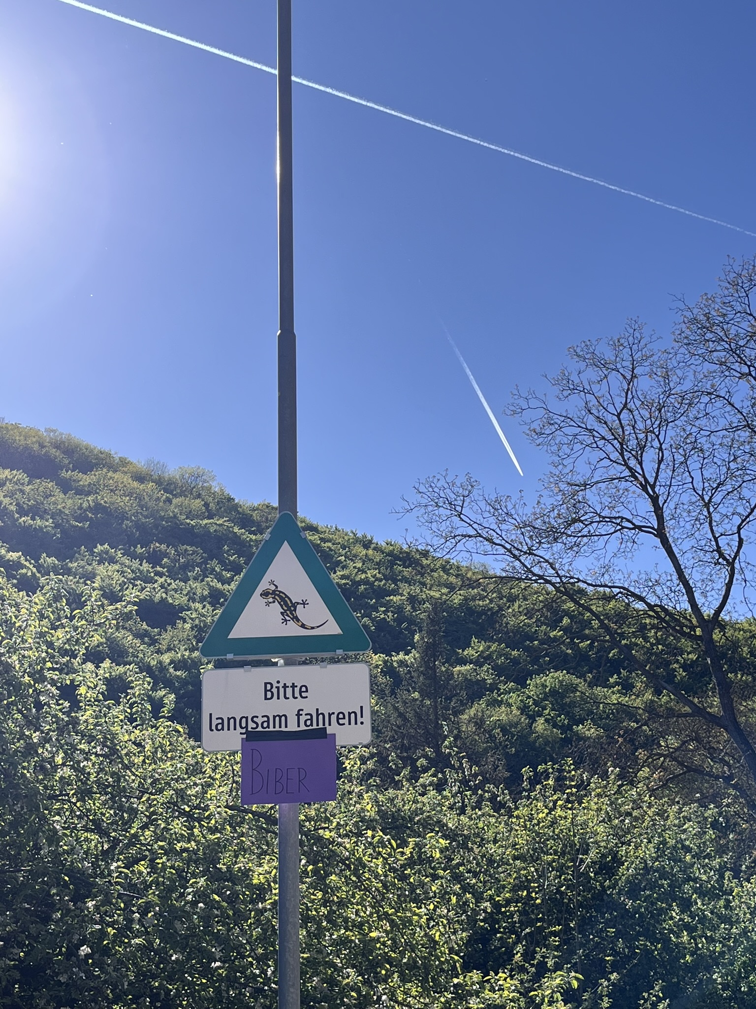 Read more about the article Die Biber am Mödela: Ein Zeitreise-Abenteuer