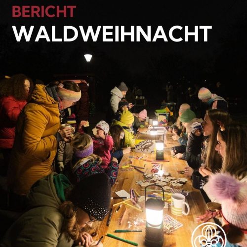 signal-2026-01-11-17-38-45-869